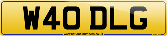 W40 DLG