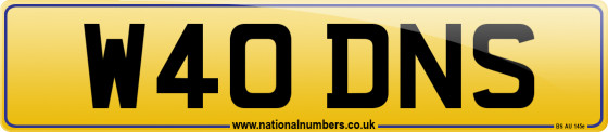 W40 DNS