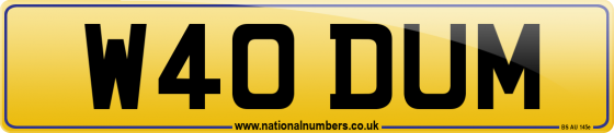 W40 DUM