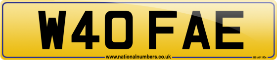 W40 FAE