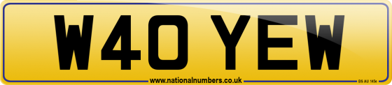 W40 YEW