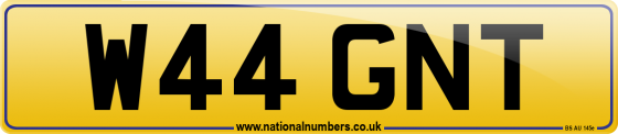 W44 GNT