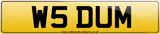 W5 DUM