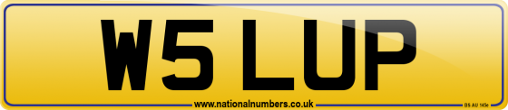 W5 LUP