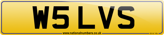 W5 LVS