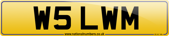 W5 LWM