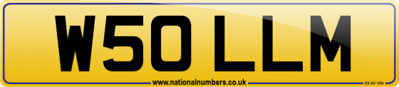 W50 LLM