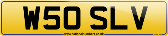 W50 SLV