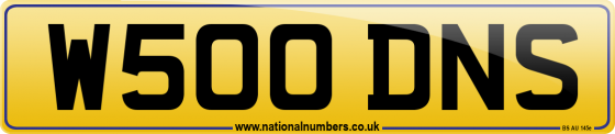 W500 DNS