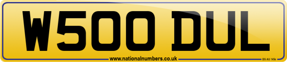 W500 DUL