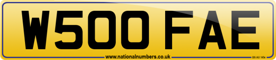 W500 FAE