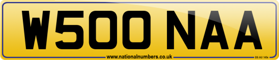 W500 NAA