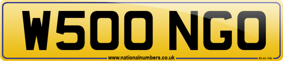 W500 NGO