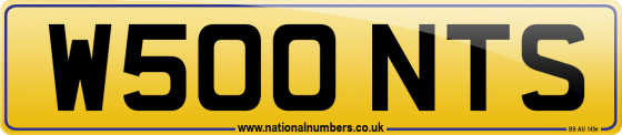W500 NTS