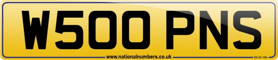 W500 PNS