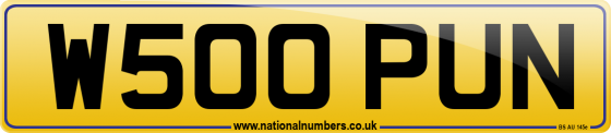 W500 PUN