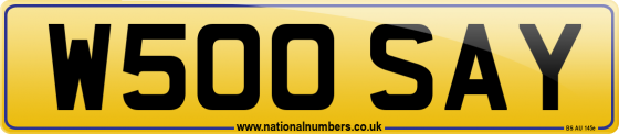 W500 SAY