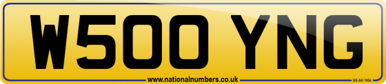 W500 YNG