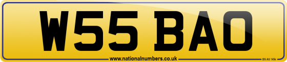 W55 BAO