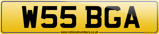 W55 BGA
