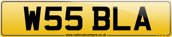 W55 BLA