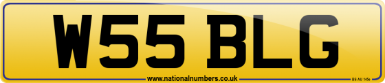 W55 BLG