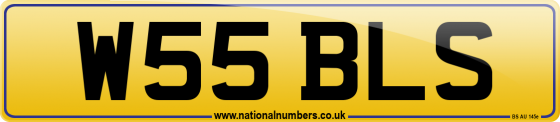 W55 BLS