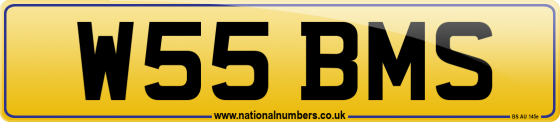 W55 BMS