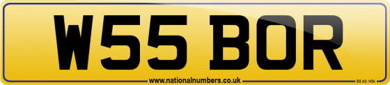 W55 BOR