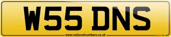 W55 DNS