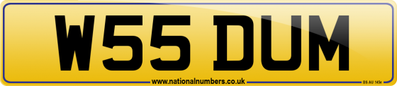 W55 DUM