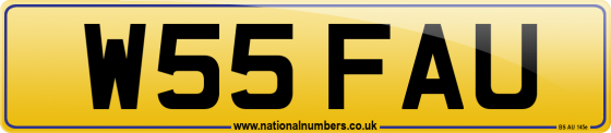 W55 FAU