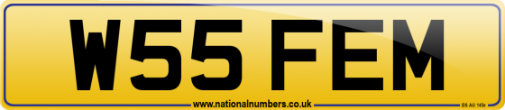 W55 FEM