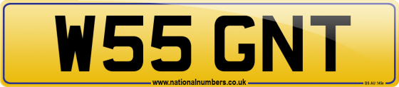 W55 GNT