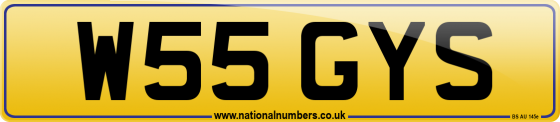 W55 GYS