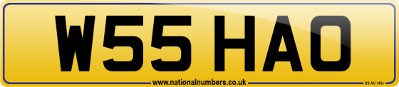 W55 HAO