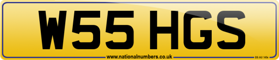W55 HGS