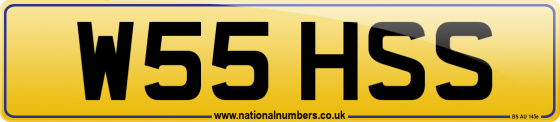 W55 HSS