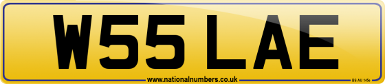 W55 LAE
