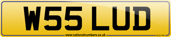 W55 LUD