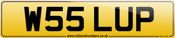 W55 LUP