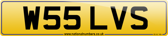 W55 LVS