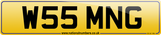 W55 MNG