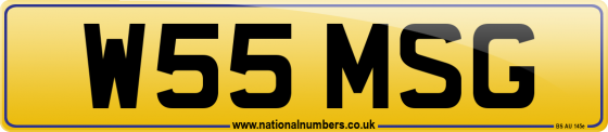 W55 MSG