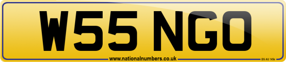 W55 NGO