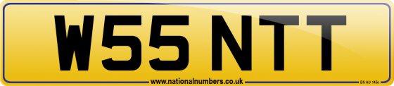 W55 NTT