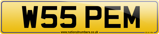 W55 PEM