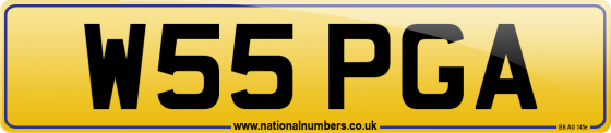 W55 PGA