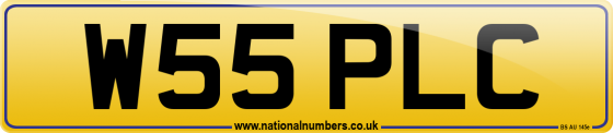 W55 PLC