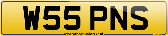 W55 PNS